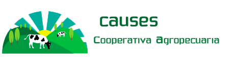 Logo Cooperativa CAUSES